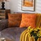 Pumpkin Fall Decorative Throw Pillow Covers 18"x18", Set of 2 Rust Red Soft Faux Fur Pillow Covers for Autumn Harvest, Fluffy Plush Accent Pillow Cases for Farmhouse Couch Cushion Covers.